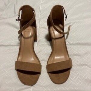 a new day Tan Heels